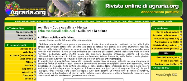 Come curarsi con le erbe