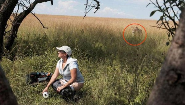 Foto divertenti su FunnyJunk.com