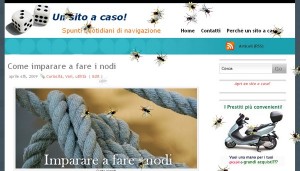 mosche Invasione di mosche