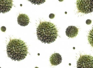 virus-influenza-suina