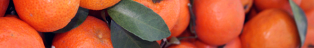 dieta-frutta