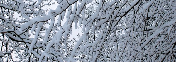 Utili consigli contro il freddo